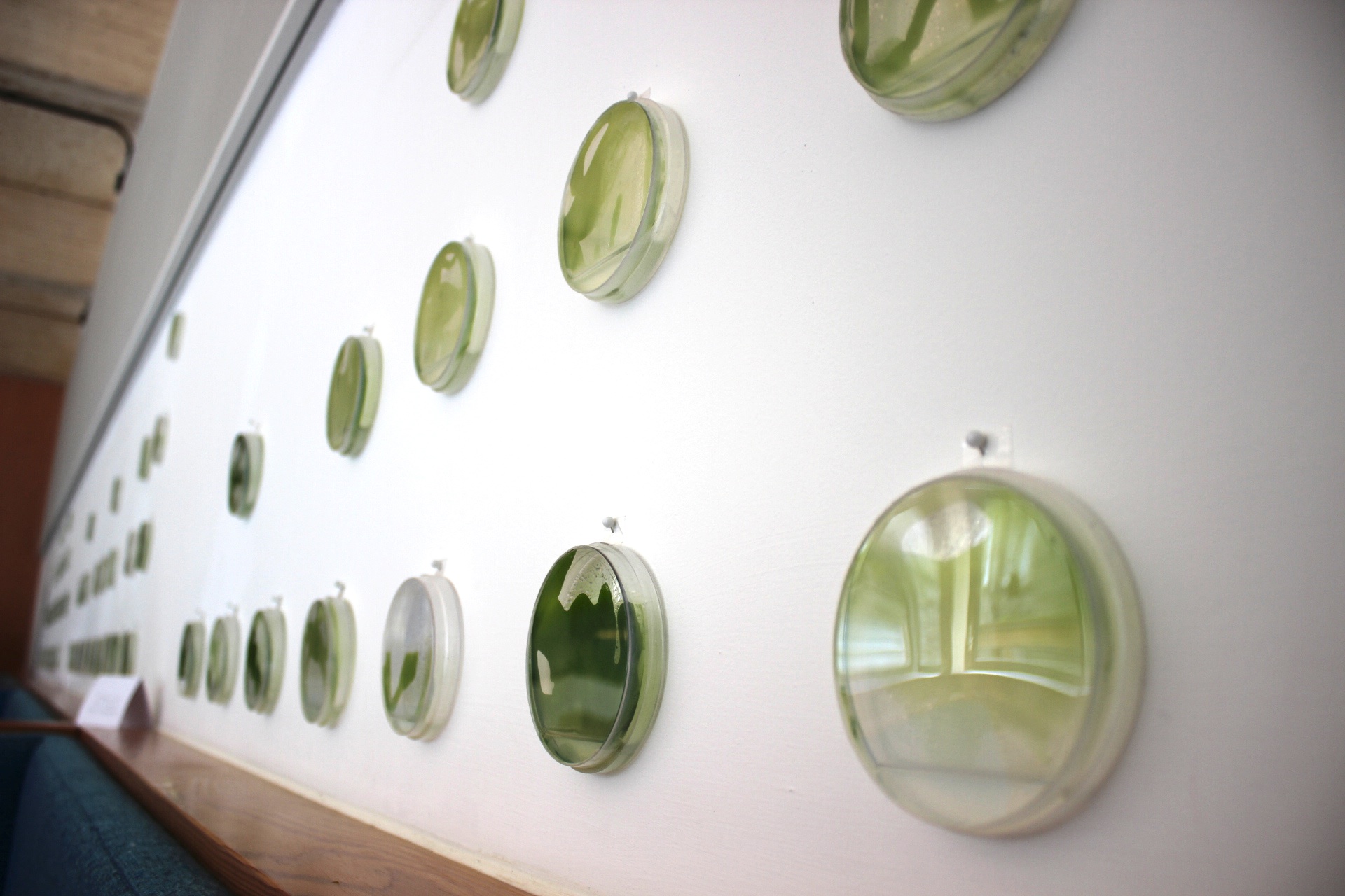 Inhale : Exhale — Petri-dish installation
