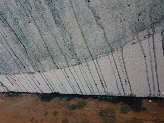o0o — Centre wall close up: algae pigment